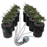 Мащабна-DWC-Хидропонна-Система-с-8-Кофи-8-x-20L