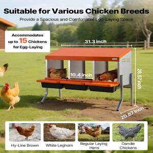 Полози-за-Кокошки-с-3-Отделения-Roll-away-Система-Галванизирана-Стомана-и-Крака-гнезда-за-кокошки