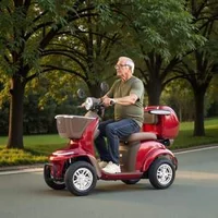 Усилен-Електрически-Скутер-за-Мобилност-1000W-до-227-kg