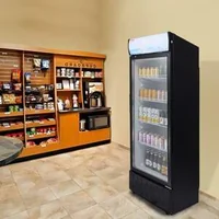 Професионален-хладилен-охладител-275л-с-4-рафта