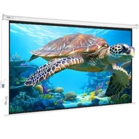 Прожекционен-екран-100-инча-254см-16-9-4K-1080-HD-с-електрическо-прибиране-и-спускане-за-домашни-кино