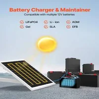 Соларно-зарядно-устройство-за-батерии-с-монтаж-на-стълб-20-W-12V-IP65