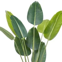 Изкуствено-дърво-стрелиция-152-4-см-със-саксия-полиетилен-защита-срещу-преобръщане