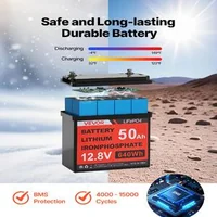 Соларна-система-200W-12V-2-бр-монокристални-панела-100W-LiFePO4-батерия-12-8V-50Ah-контролер-40A-инвертор-800W