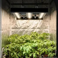 LED-лампа-за-растения-200-W-пълен-спектър-400-740-nm-димируема-за-палатка-60x60-см-алуминиев-корпус-daisy-chain